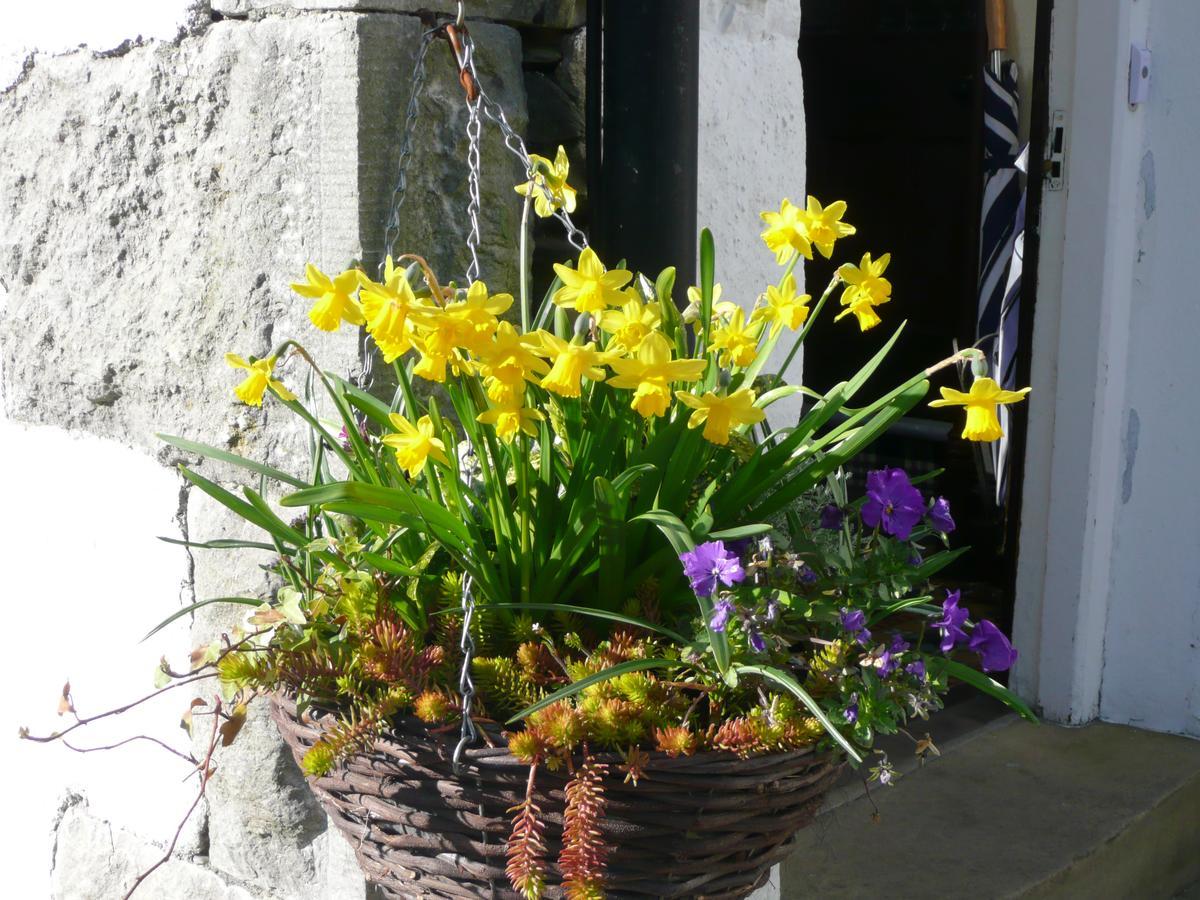 Glenville House - Adults Only - Incl Free Off-Site Health Club With Swimming Pool, Hot Tub, Sauna & Steam Room Bowness-on-Windermere Extérieur photo