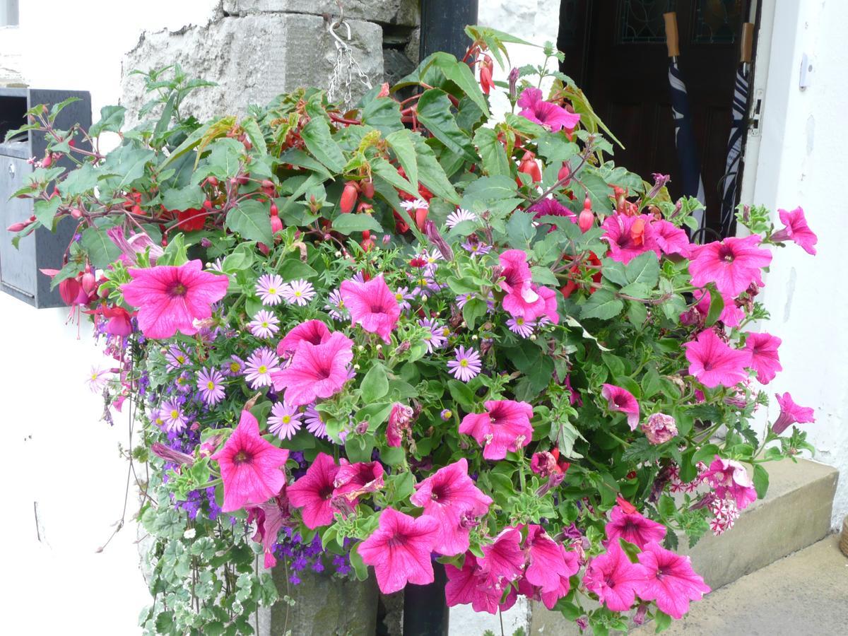 Glenville House - Adults Only - Incl Free Off-Site Health Club With Swimming Pool, Hot Tub, Sauna & Steam Room Bowness-on-Windermere Extérieur photo